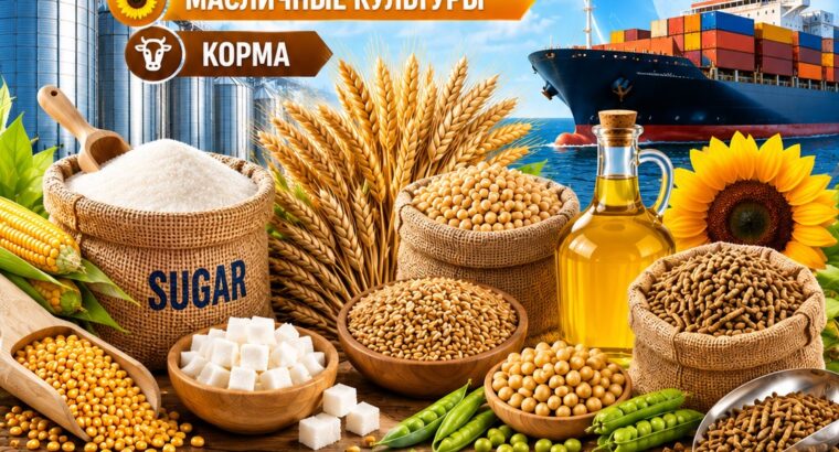 Сахар, зерновые и зернобобовые, масличные культуры, корма