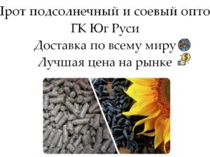 Шрот подсолнечный и соевый оптом от производителя ГК Юг Руси